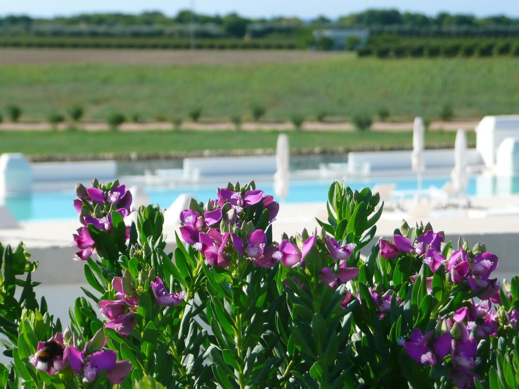 Masseria Bagnara Resort & Spa Marina di Lizzano Zewnętrze zdjęcie