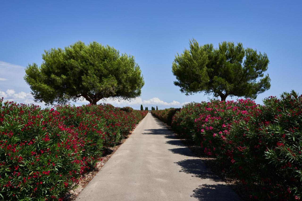 Masseria Bagnara Resort & Spa Marina di Lizzano Zewnętrze zdjęcie